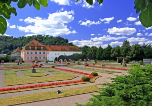 Phönix aus der Asche